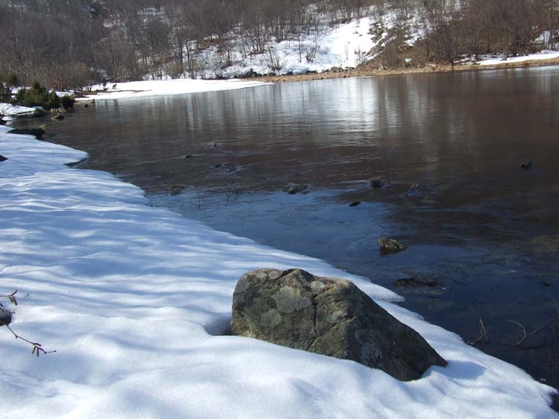 Snow-clad Laione Peat Bog