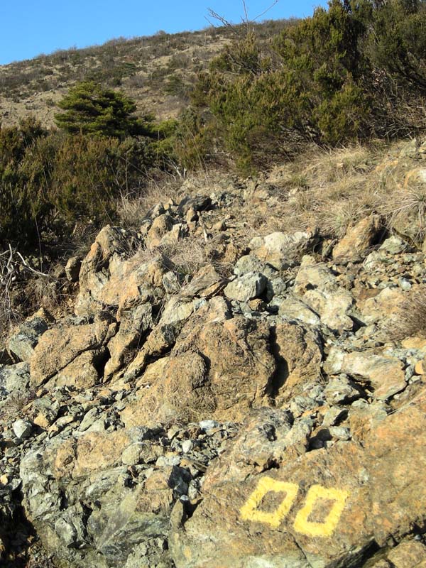 Rocks along the trail to Fruia Pass (Tiglieto)
