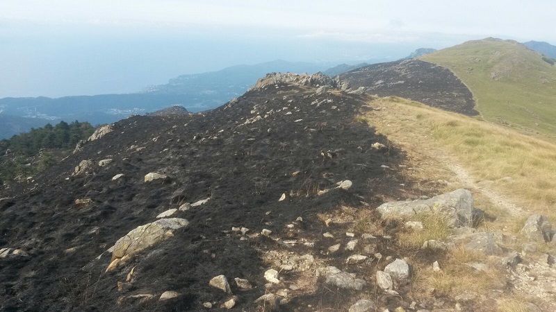 Gravi danni  nel Parco del Beigua a causa degli incendi del ponente genovese