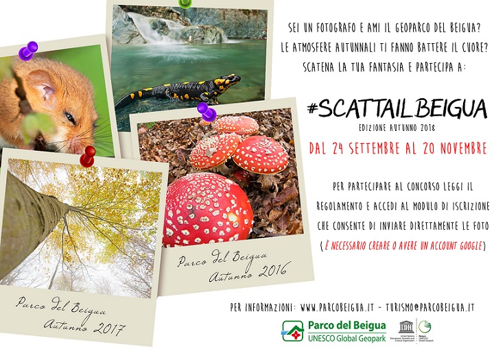#ScattailBeigua: parte il concorso fotografico autunnale dedicato al Beigua Geopark!